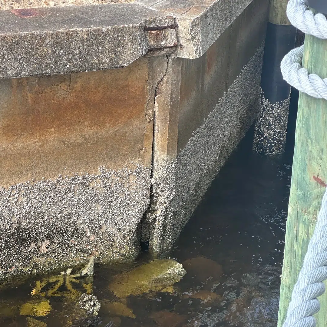 Crocker Marine Services - Seawall Repair after Hurricane Isaias