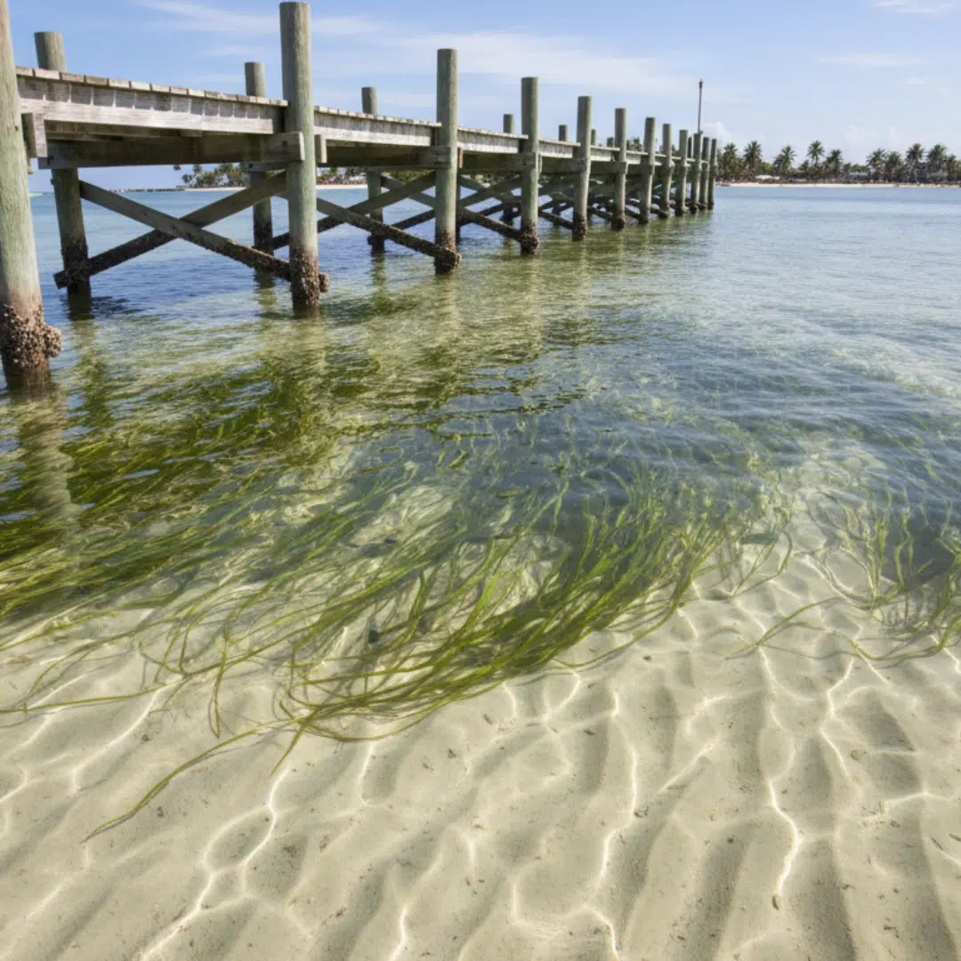 Crocker Marine Services - Signs You Need Dredging