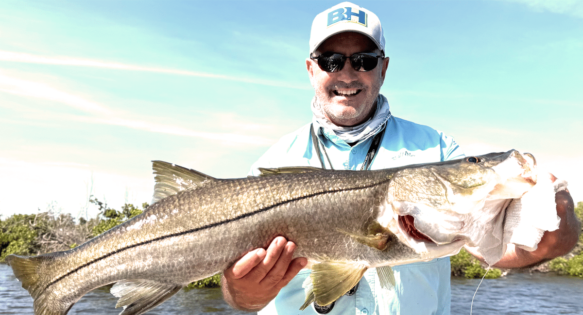 Current Backwater Snook Fishing Tips Along Florida’s Gulf Coast