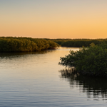 Mangrove Fishing Tips Around Marco Island